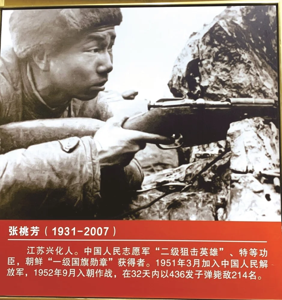 丰富鱼种，海底世界尽收眼底